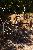 DSC00555iii.jpg