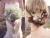 ErinGregWeddingShoot339-Edit.jpg