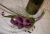 Blumen2.jpg