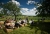 Hochzeitsfoto2011-Regula&Thomas-(0528-134926).jpg
