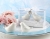 sleeping-beauty-true-love-conquers-all-ceramic-bird-salt-and-pepper-shakers-300x231.jpg