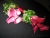 blumen.jpg