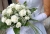 iStock_000002004476Small (640x425).jpg