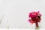 blumen 2.jpg
