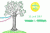 Save the Date grün Mail.gif