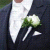 Plastron ohne Gesicht.GIF