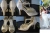 Brautschuhe_gebraucht_1Tag_Hhe8cm_Gr37.jpg
