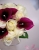 Strauss Callas in Aubergine.JPG