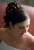 1350332955_5badf43d21.jpg