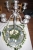IMG_1641 (198x300).jpg