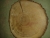 holz.jpg