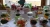 Candybar 1.jpg