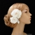 Haarblumen[1].jpg