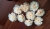 IMG_20170801_111237-816x460.jpg